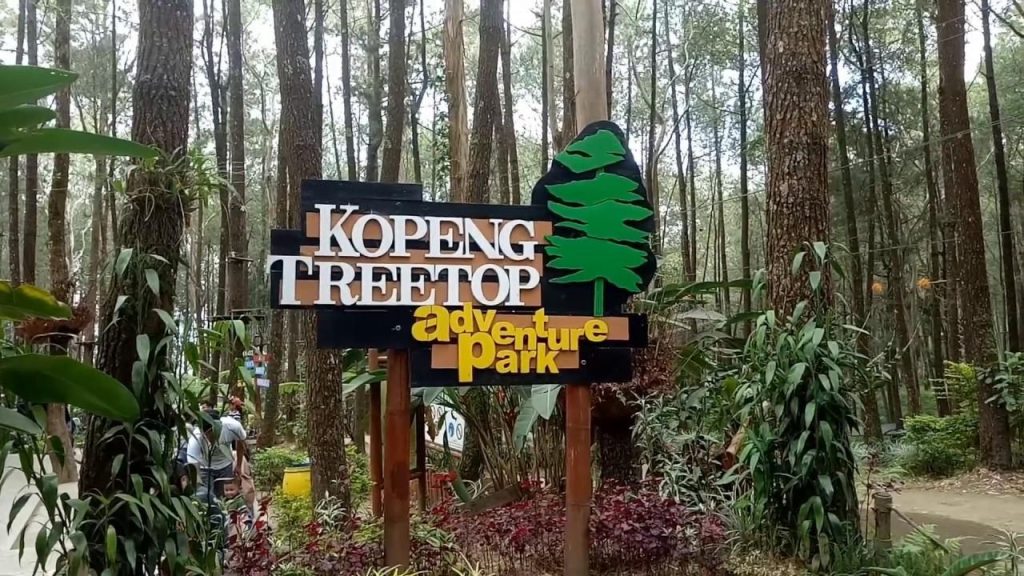 wisata alam Kopeng Treetop Adventure Park