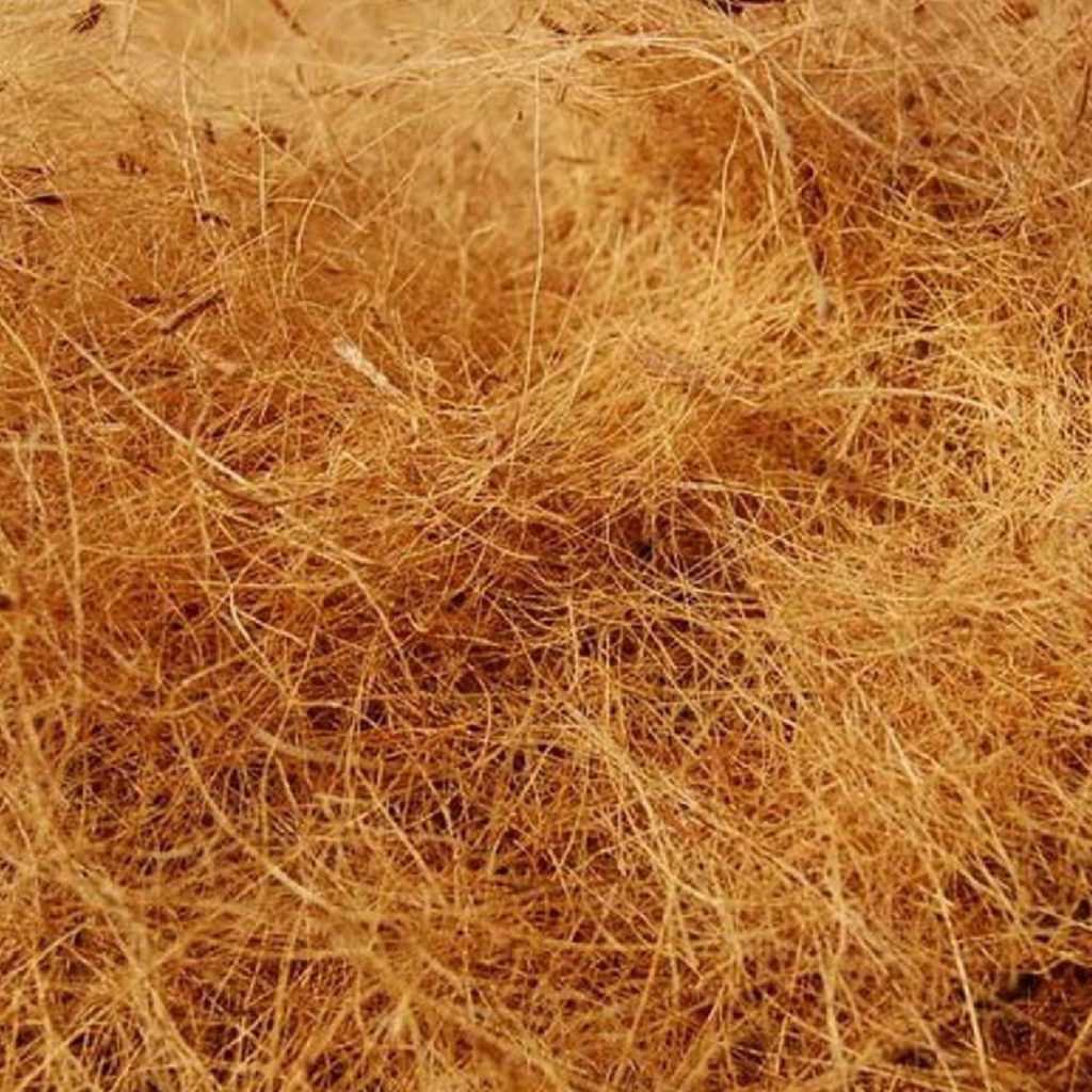 Cara Membuat Coco Fiber yang Gampang Challenging Islam