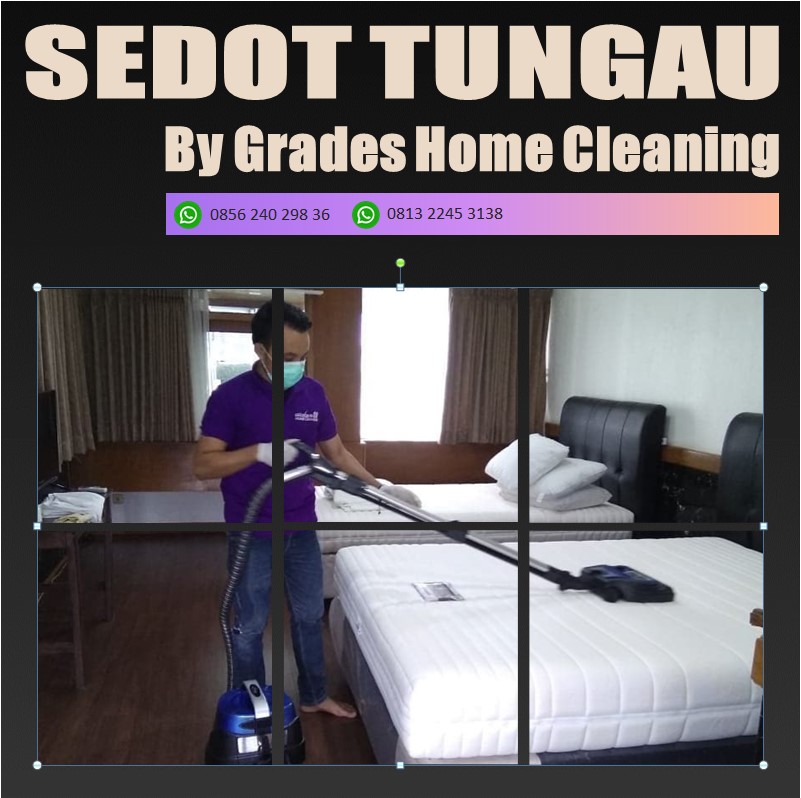 Sedot Vacuum Tungau Pekanbaru, Cara Tepat Menjaga Rumah Bebas Tungau