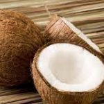 manfaat mengonsumsi daging buah kelapa