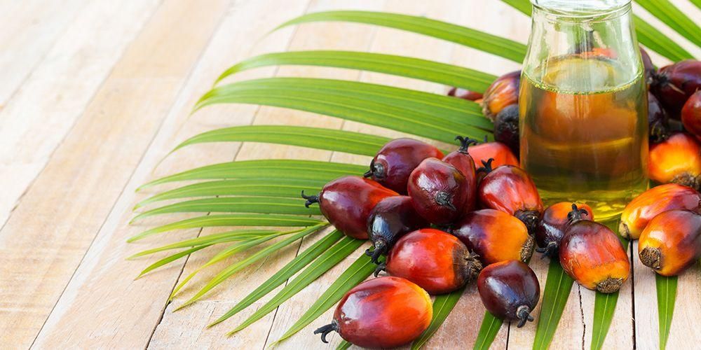 cara membuat minyak makan dari kelapa sawit